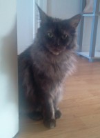 /album/gemma-des-diamants-de-lys/a2013-10-05-14-38-16-jpg/